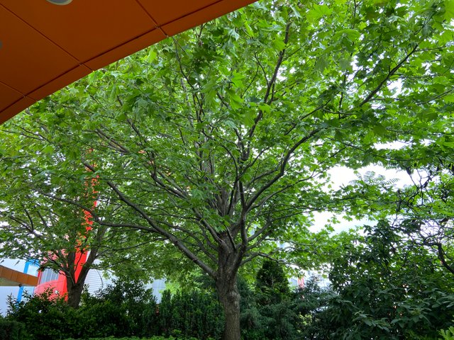IMG7781.JPG