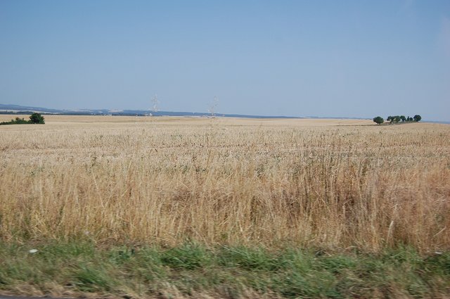 k-DSC_0059.JPG