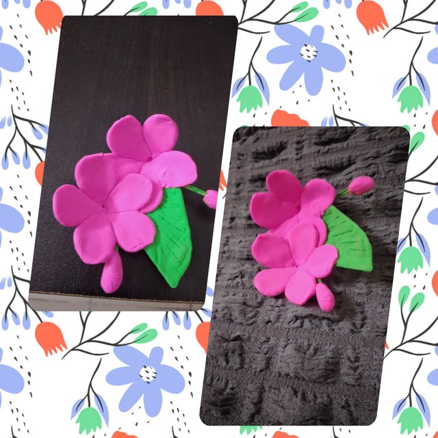 photocollage_202553205033189.jpg