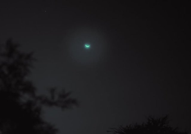 IMG_20250502_153854.jpg