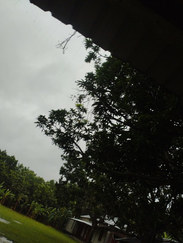 IMG_20250529_171929.jpg