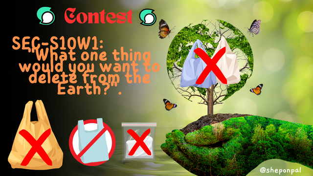 Contest (3).png