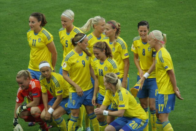 Svenska_damlandslaget_i_fotboll_2013.jpg