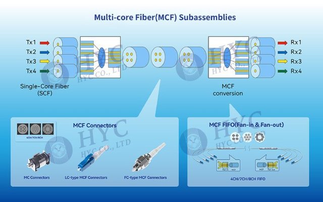 MCF--RGB-35.jpg