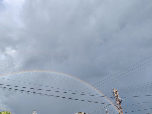 IMG_20250704_173052.jpg