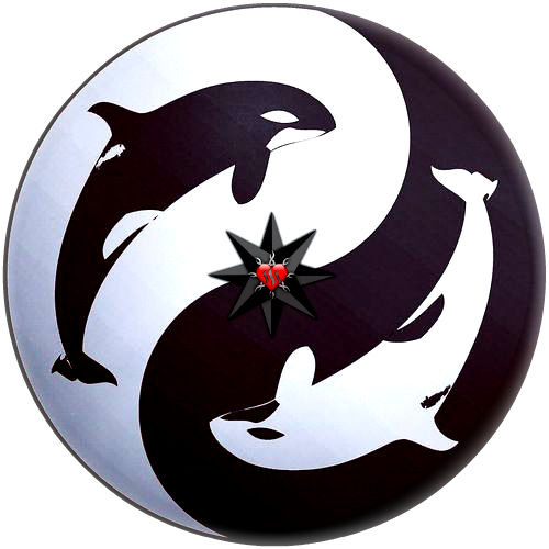 killerwhale enginewitty X40L1N #thealliance.png