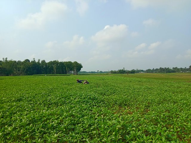 IMG_20250505_134300.jpg