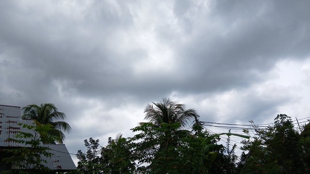 1000004925.jpg
