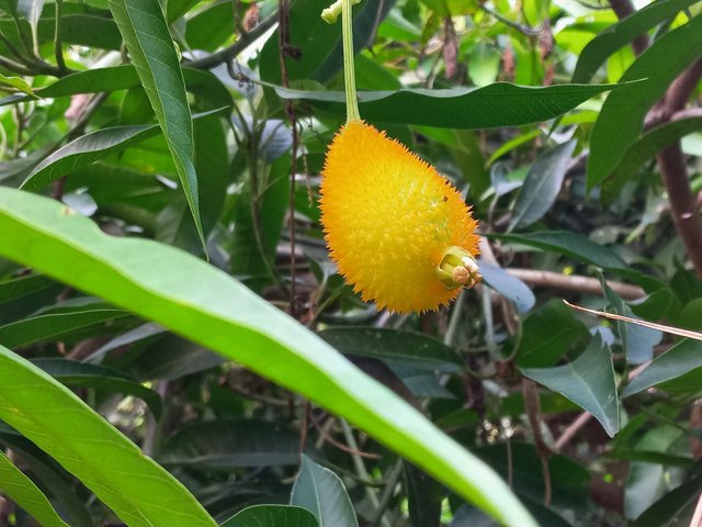 20230829_170926.jpg