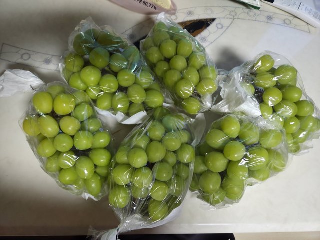 카카오스토리_2025_09_11 19_46_52.jpg