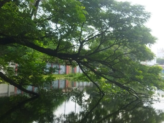 IMG_20250719_083925.jpg