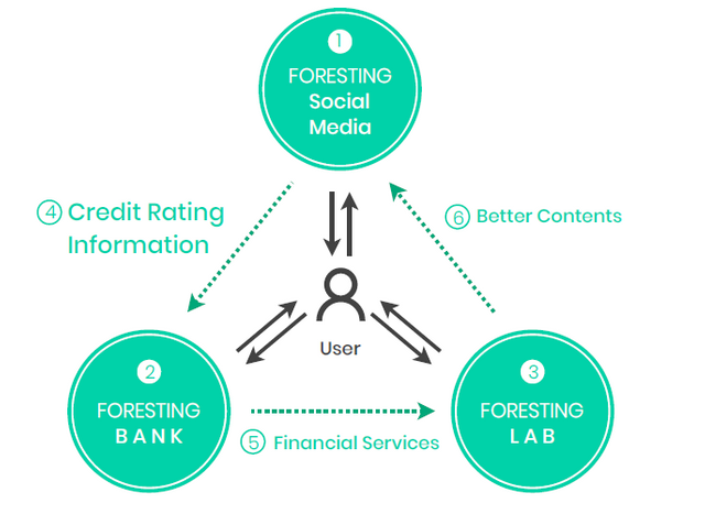 foresting network FFF.png