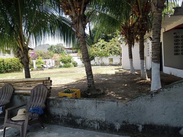 1000290196.jpg