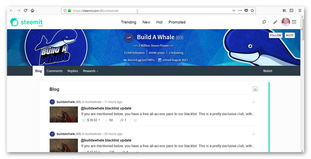 buildawhale.png