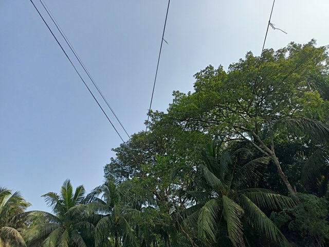 IMG20240109131652.jpg