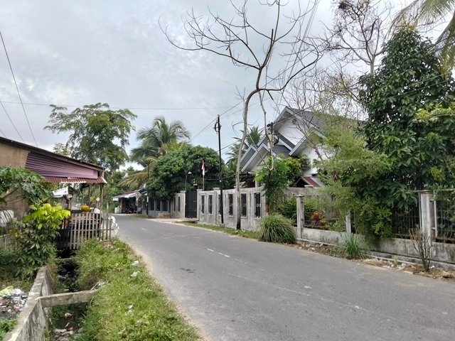601.jpg