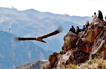 colca-canyon-tour.jpg