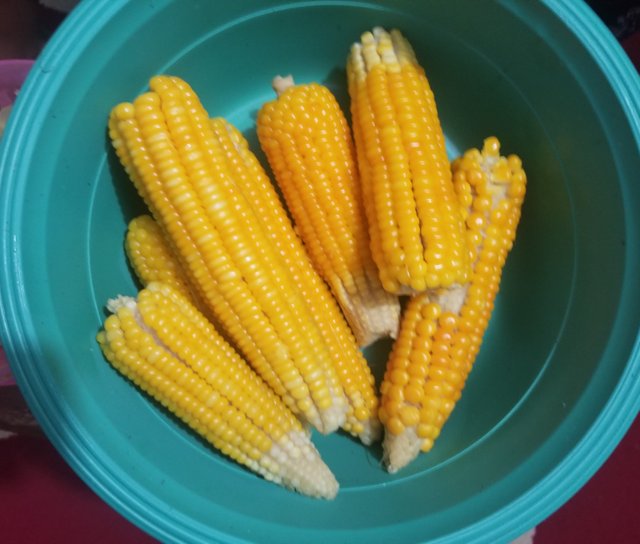 20250708_203310.jpg