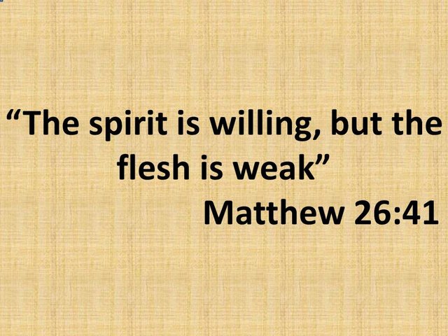 Faith and inspirational quotes. The spirit is willing, but the flesh is weak. Matthew 26,41.jpg