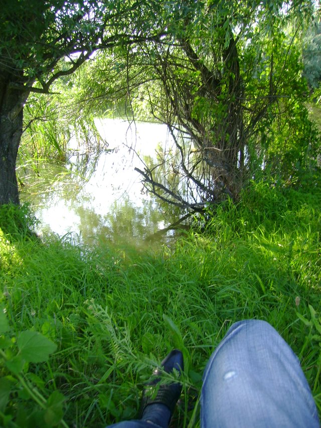 DSC00072.JPG