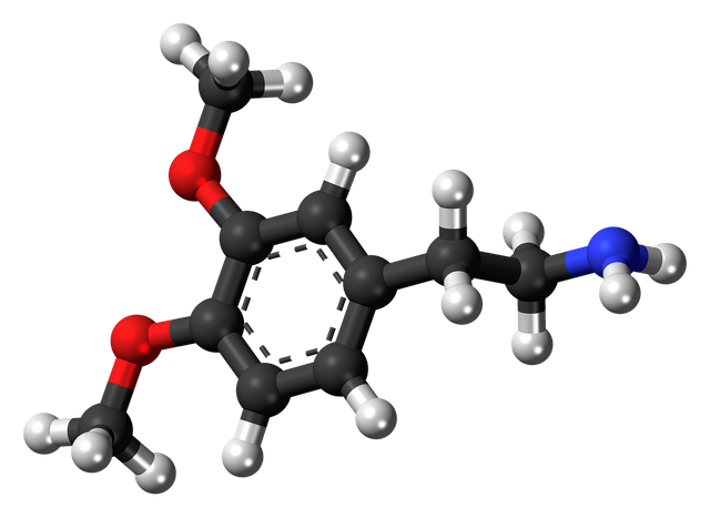dimethoxyphenethylamine-867172_1280.png