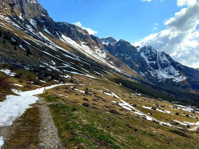 20210404_121108.jpg