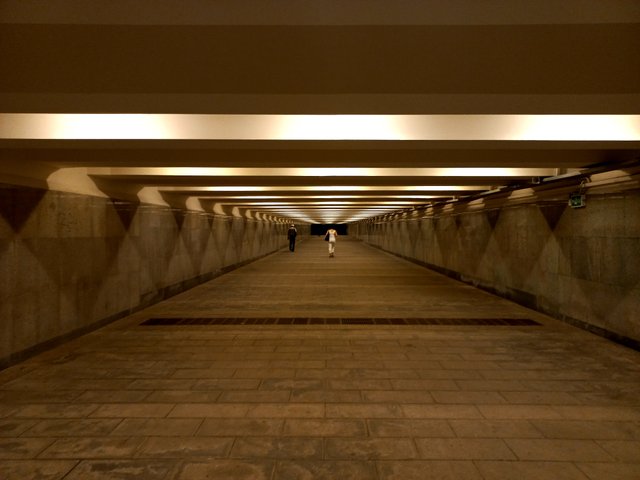 20220609_104219.jpg