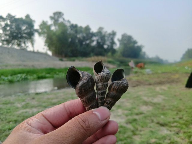 IMG20250401163618.jpg