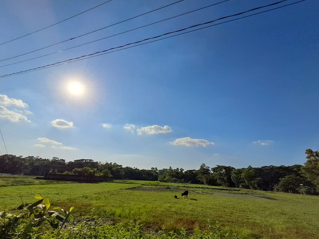 20241109_145621.jpg