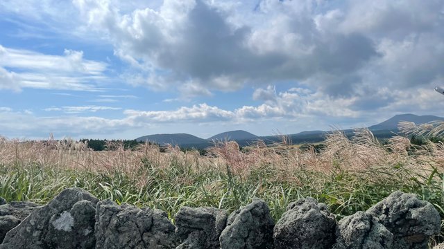 IMG_2538.jpeg