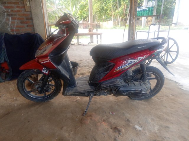 IMG20210603072401.jpg