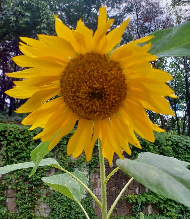 20250902_133400.jpg