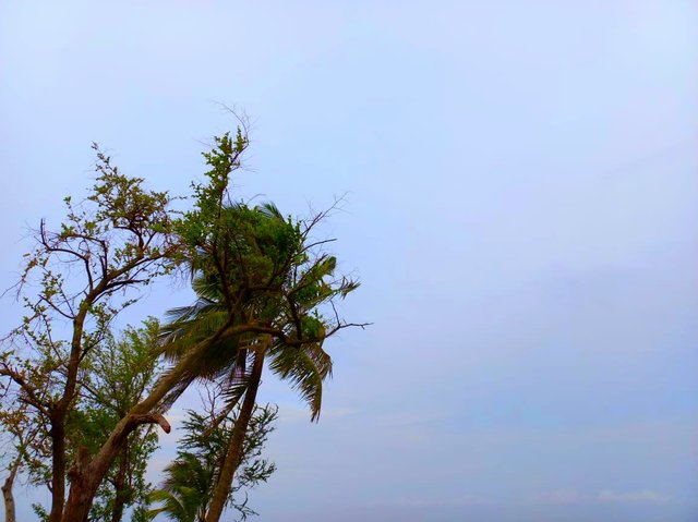 IMG-20240815-WA0169.jpg