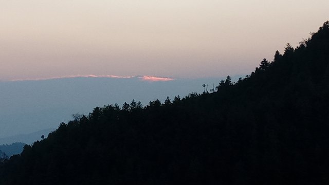 20250322_061036.jpg