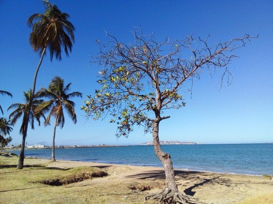 playita1502221.jpg