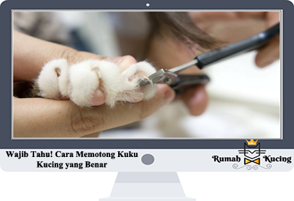 Memotong Kuku Kucing.png