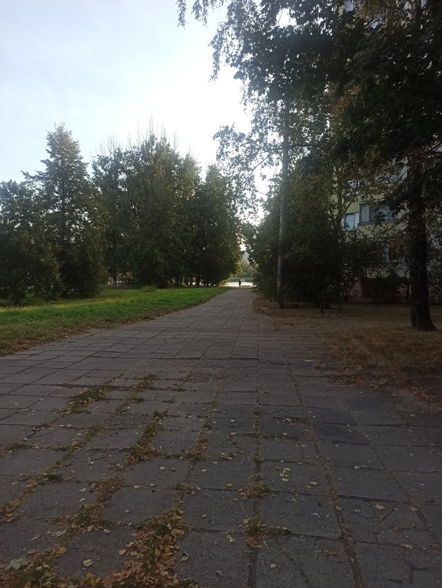 IMG_20250911_075553.jpg