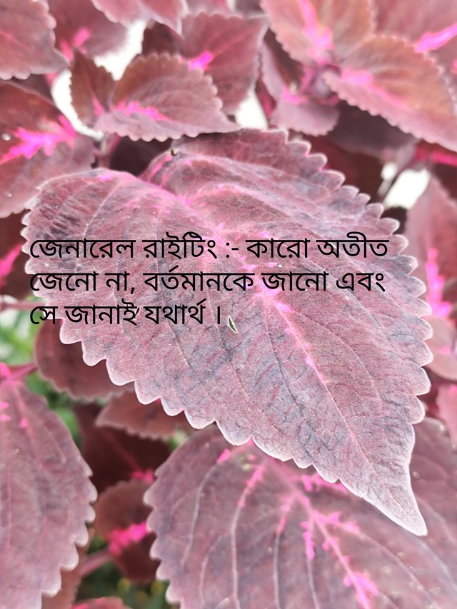 IMG_20250909_222307.jpg