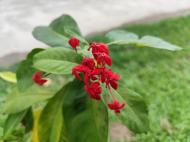 IMG_20250702_115258.jpg