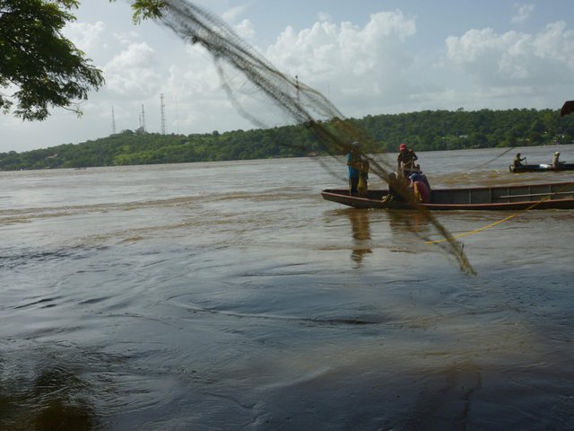 P1070736.jpg