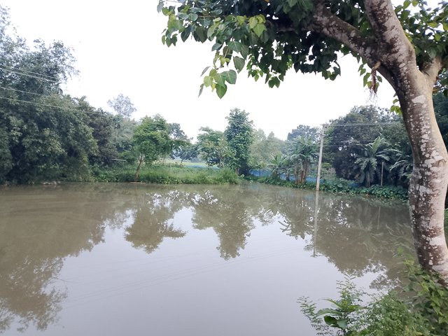 1000047141.jpg