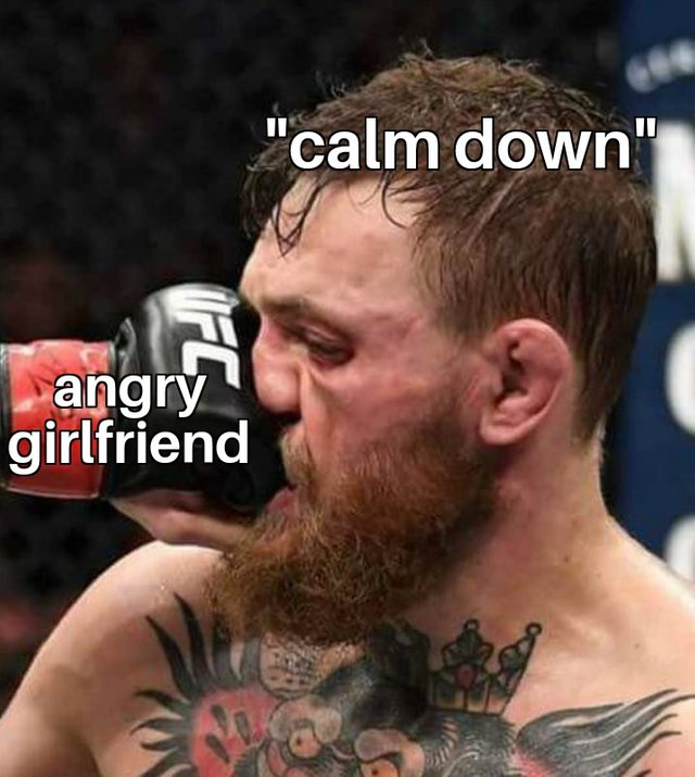 Conor McGregor Meets Fist angry girlfriend.jpg