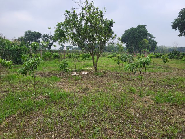 20250425_092427.jpg