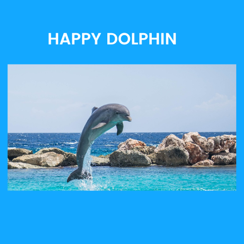 Blue White Modern Cheerful Dolphin Logo.png