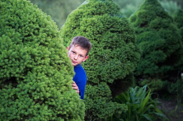 boy-teenager-peeking-out-bush-94729530.jpg