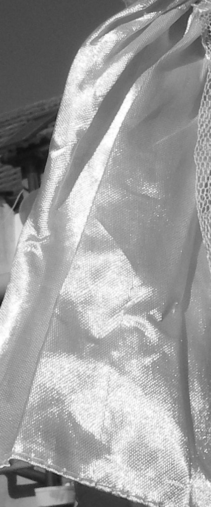 dress greyscale detail.jpg