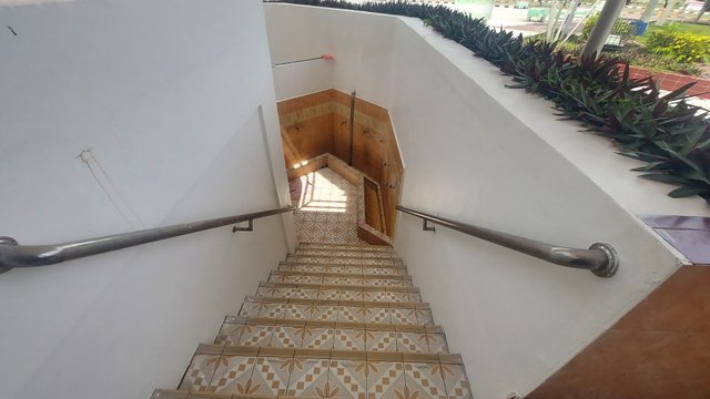 20250610_133158.jpg