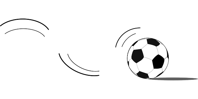 soccer-146218_640.png