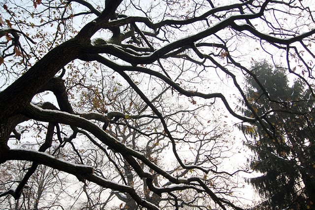 Winter_Vibes_n08_s.jpg