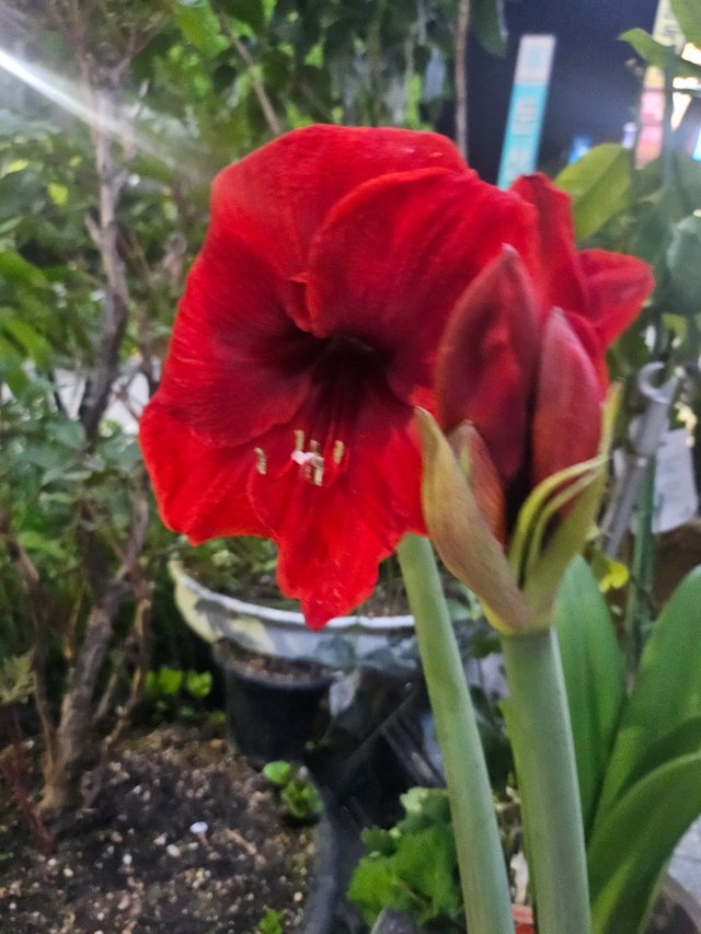 KakaoTalk_20250417_232356964_04.jpg